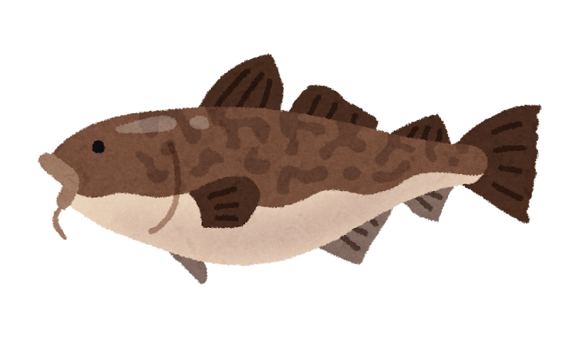 鱈 タラのイラスト かわいいフリー素材集 いらすとや 鱈 タラのイラスト かわいいフリー素材集 いらすとや