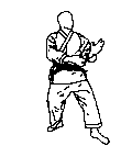 Sokutsu dachi,karate bases,karate shotokan bases,karate defesas,karate socos,golpes karate,karate shotokan,kihon bases, kihon karate