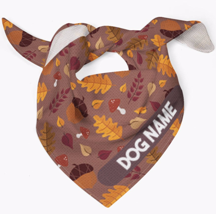 dog bandana