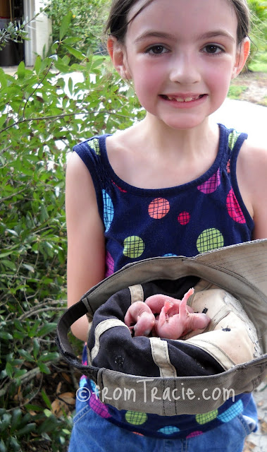 Katarina holding a hat full of baby gray squirrels