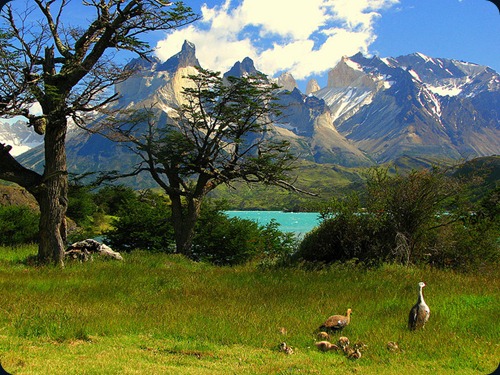 lago pehoe chile9