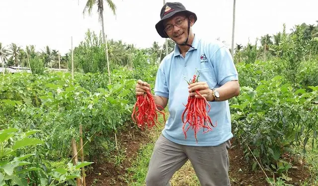 Hasril Chaniago Klarifikasi ke Arteria Dahlan soal Isu 'Cucu PKI'