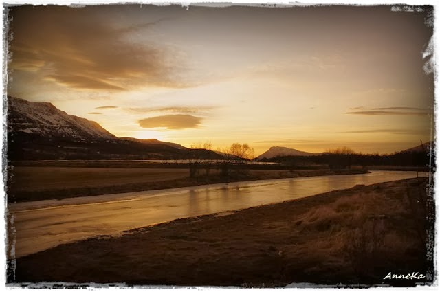 _DSC1807