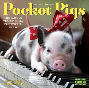 Pocket Pigs Mini Wall Calendar 2017: The Famous Teacup Pigs of Pennywell Farm