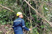 PLN Icon Plus Lakukan Preventive Maintenance di Pesisir Selatan