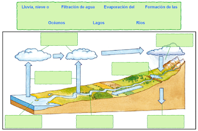 http://www.primerodecarlos.com/TERCERO_PRIMARIA/archivos/Anaya3Cono/6/act_03.swf