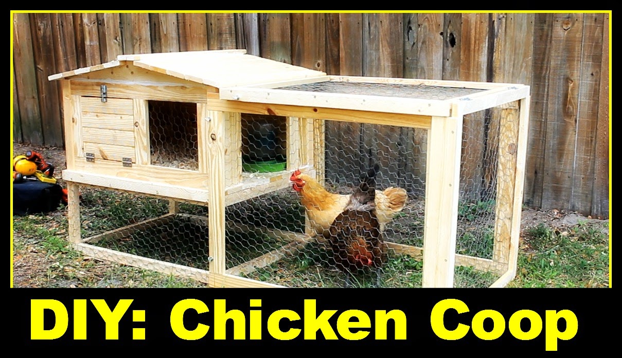 28 Top Photos How To Build A Backyard Chicken Coop - Most Backyard Chicken Ideas - DECOREDO