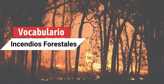 Vocabulario forestal con letra B y C