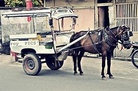 10 Famous Traditional Transportation in Indonesia