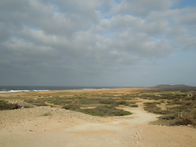 California Sand Dunes