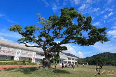 全台灣好拍好玩特色校園 懶人包