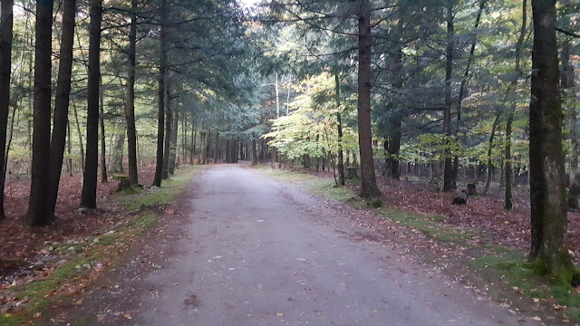 Sentier pédestre au départ