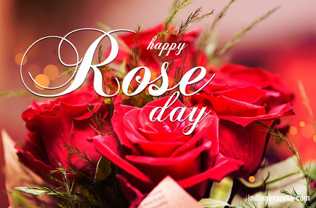 Rose Day Image