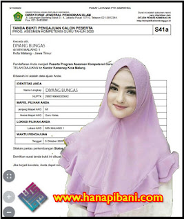 www.hanapibani.com