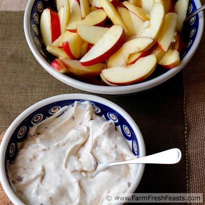 A fruit dip made from cream cheese, yogurt, brown sugar and the crunch of milk chocolate toffee bits. This is great for parties or special afternoon snacks and appeals to all ages.