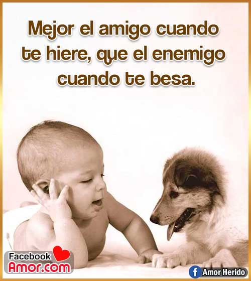 frase amistad