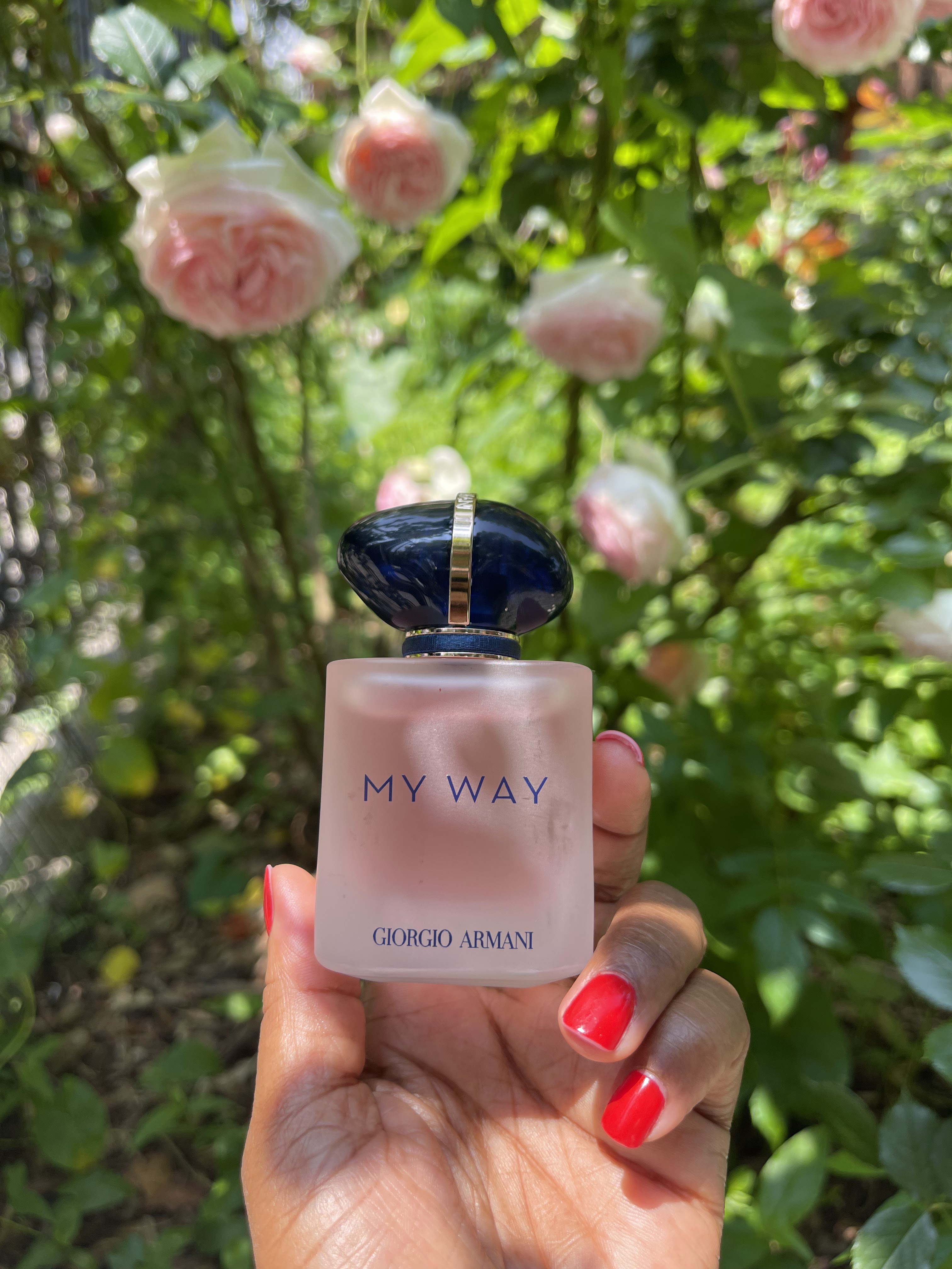 My Way Fragrance Armani Beauty