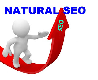 Natural seo techniques