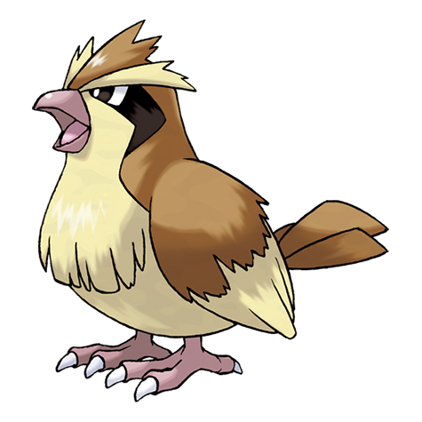 Amateurnithologist Who S That Pokebird