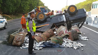  Mobil pick up yang dikemudikan oleh Moh Pickup Bawa Ikan Terguling Di TOL Gunung Sari