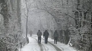 Snow photo walks, Sonmarg Kashmir