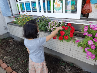 お花の手入れをしてくれます