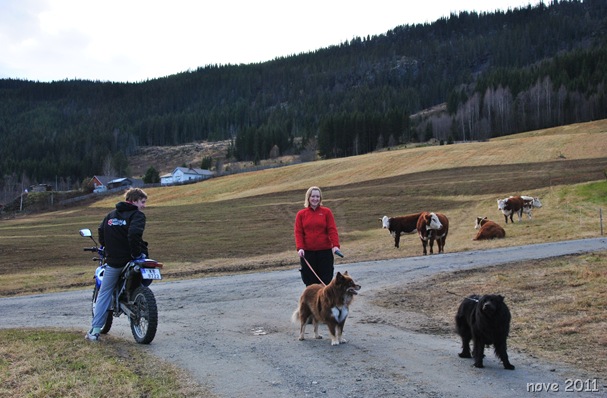 søndag 026