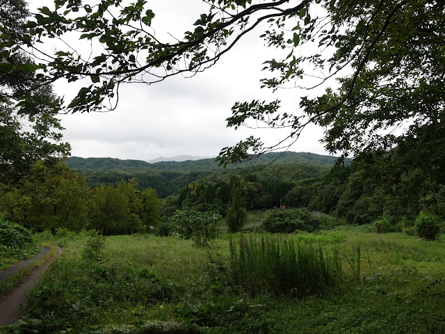 果樹園の農道