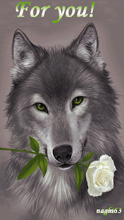 Animated Wolf GIF