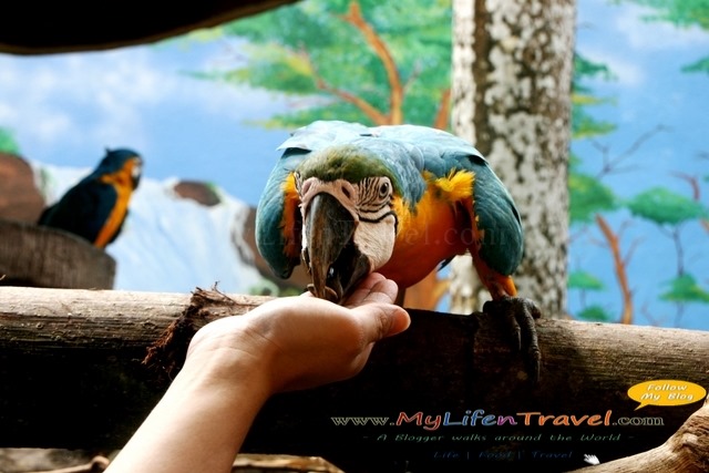 Langkawi Wildlife Park