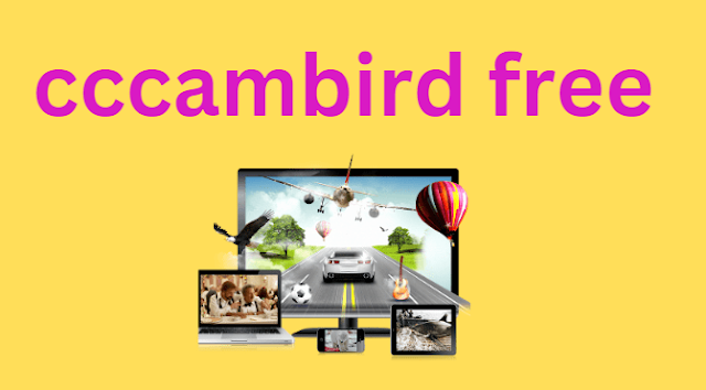 cccambird free