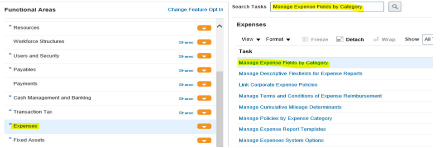 Part 5: Define Expense Fields by category in Oracle Fusion I Expense