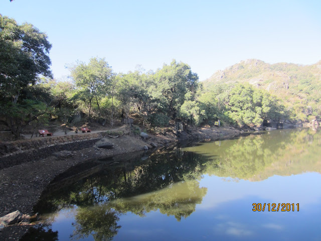 lake near travor's tank park