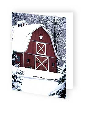 personalized christmas cards