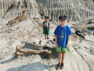 Fossilised dinosaur femur at Dinosaur Provincial Park