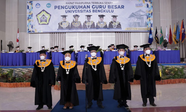 guru besar UNIB