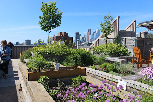 communal veggie beds