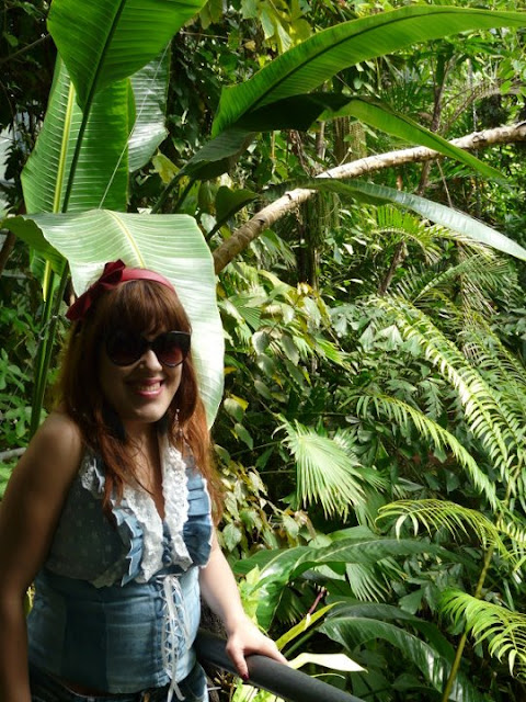 visite du jardin botanique d'Amsterdam