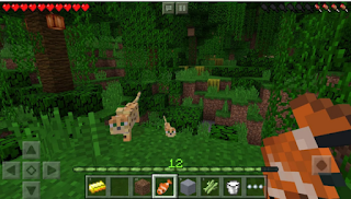 Minecraft: Pocket Edition Screenshot 4