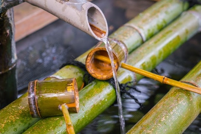 health benefits of bamboo water