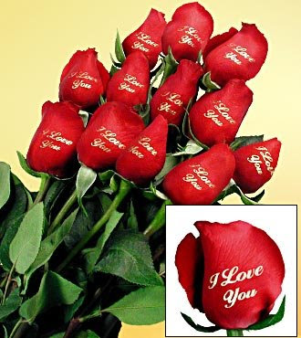 love you more than life. 0 rose --- I love you more