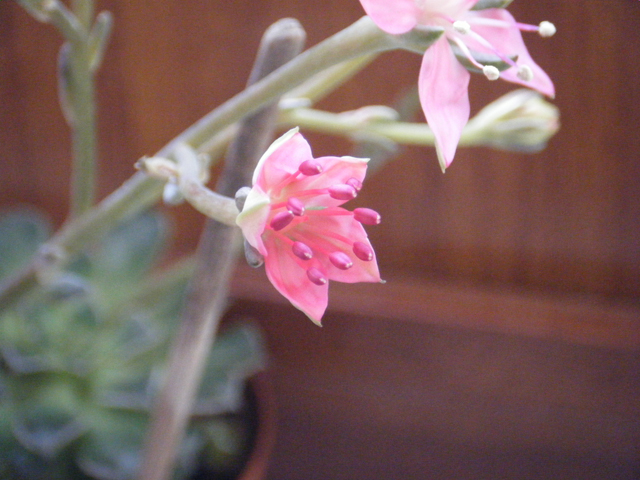 2011_06150016.JPG