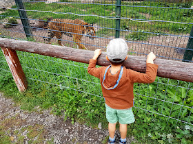 Zoo Farma Łączna 