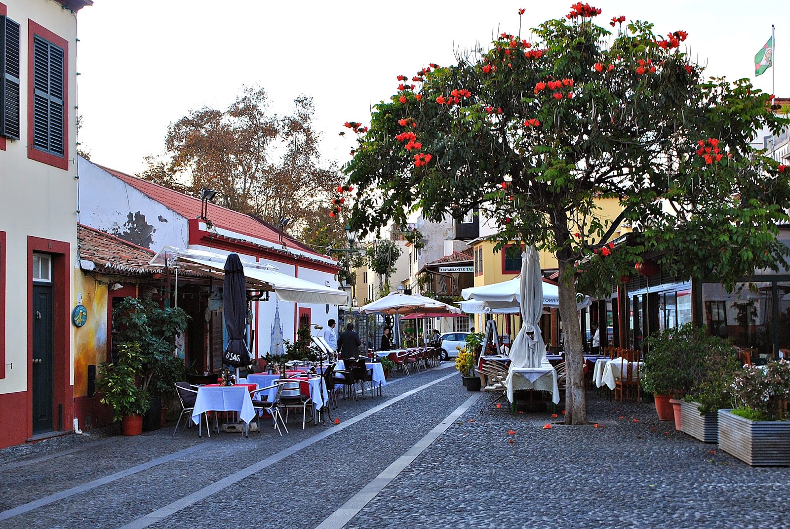 FUNCHAL - MADERA GRUDZIEŃ 204