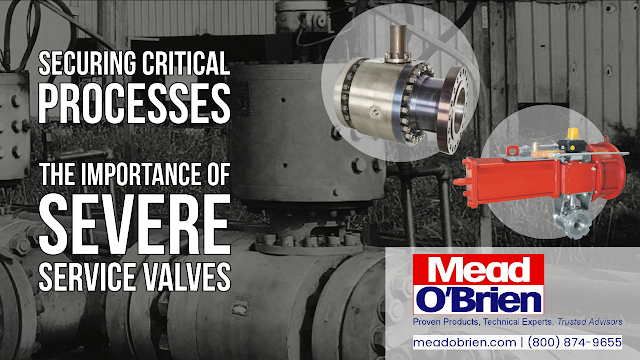 Securing Critical Processes: The Importance of Severe Service Valves