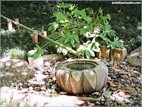 Fuente Tsukubai del Jardín Japonés de Fort Worth 