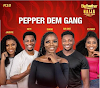 BBNAIJA SEASON 4 - FANS REACTS ON THE NEW HOUSEMATES 