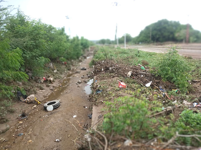 ¡ABARROTADAS DE MONTE Y BASURA! QUEBRADAS DE CARORA ACUSAN MANTENIMIENTO