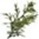 clip_image01615