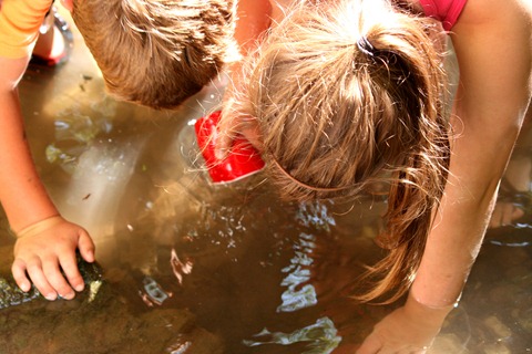 crawdads summer 2012 024